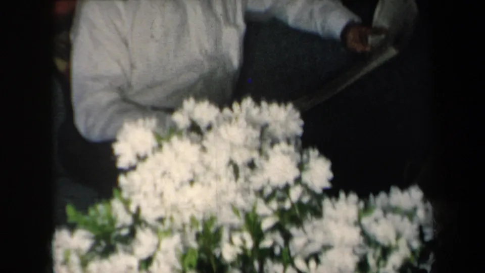 White flowers and green leaves dominate the frame, with part of a seated adult in a white shirt visible in the dim interior.