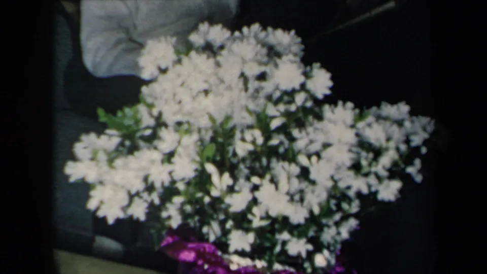 The final frame concentrates on white flowers and greenery in a dim interior, with seating and a small purple detail near the bottom.
