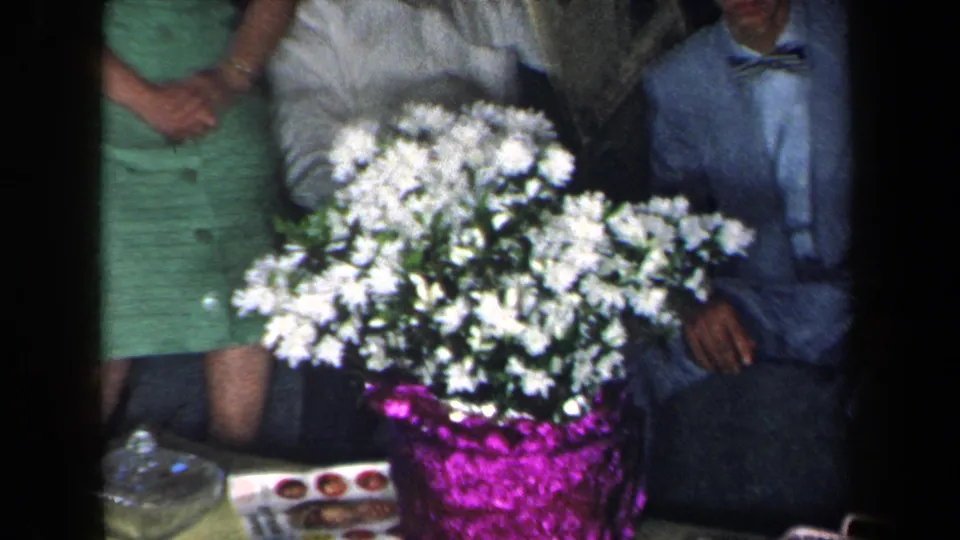 A woman in a green dress stands near a seated man in a blue shirt, partly obscured by white flowers in a purple vase or basket.