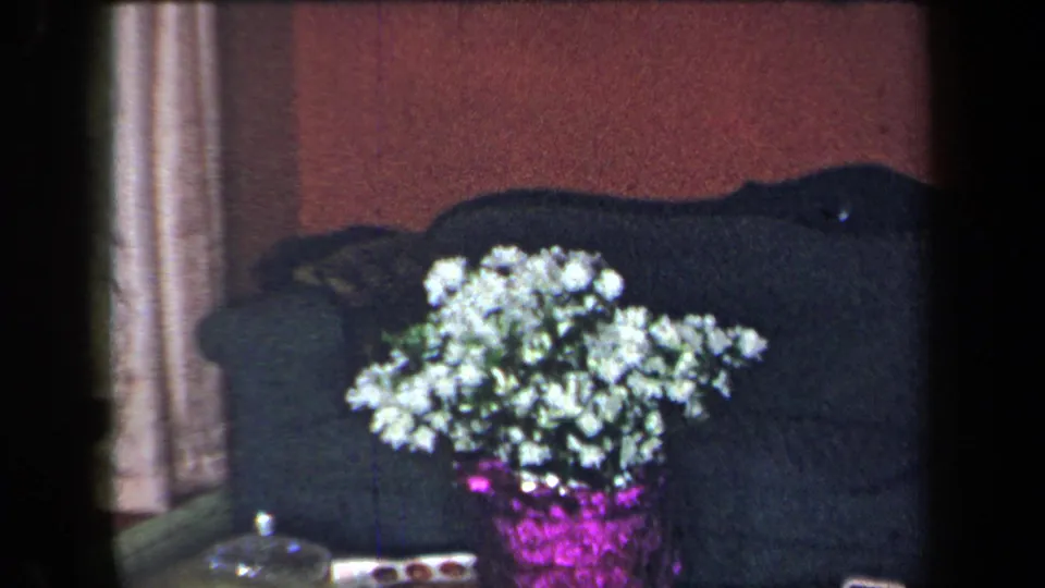 A domestic cutaway shows white flowers in a purple vase near dark furniture inside the same warm red-walled interior.