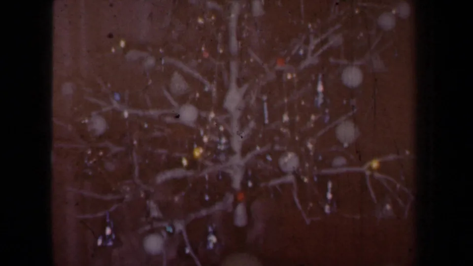 Soft 8mm frame of a decorated holiday tree, with ornaments and lights visible in a dim interior.