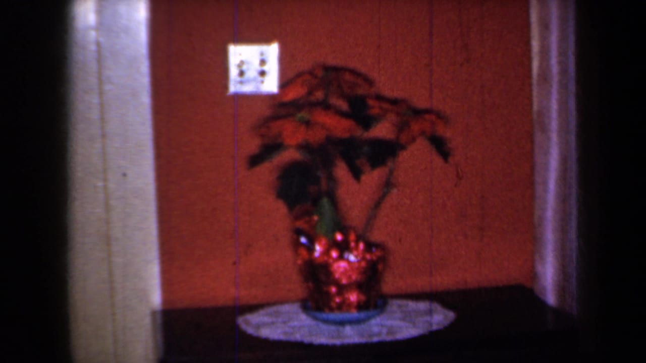 1959 New York interior frame focused on a poinsettia set on a lace mat atop a dark cabinet.