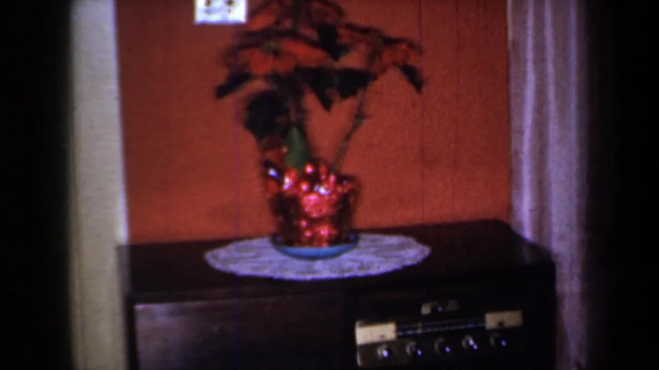 1959 New York home interior showing a poinsettia on a cabinet with a visible radio or hi-fi control panel below.