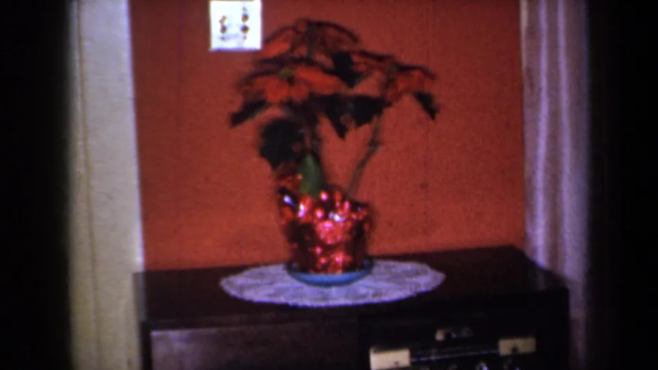 1959 New York frame of a poinsettia in red foil on a cabinet, with wood paneling and a curtain visible.