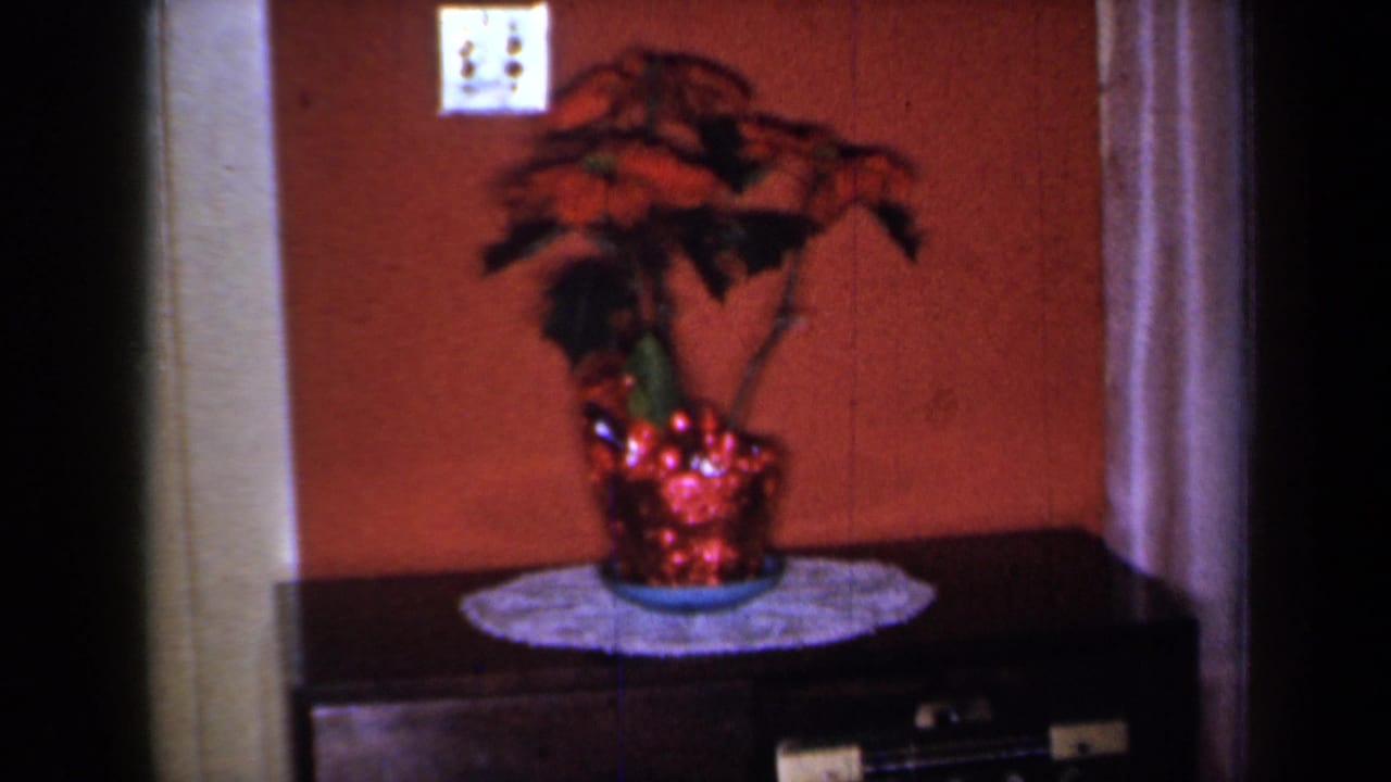 1959 New York home-movie frame of a red poinsettia in a shiny planter on a white doily, with a light switch above and dark table below.