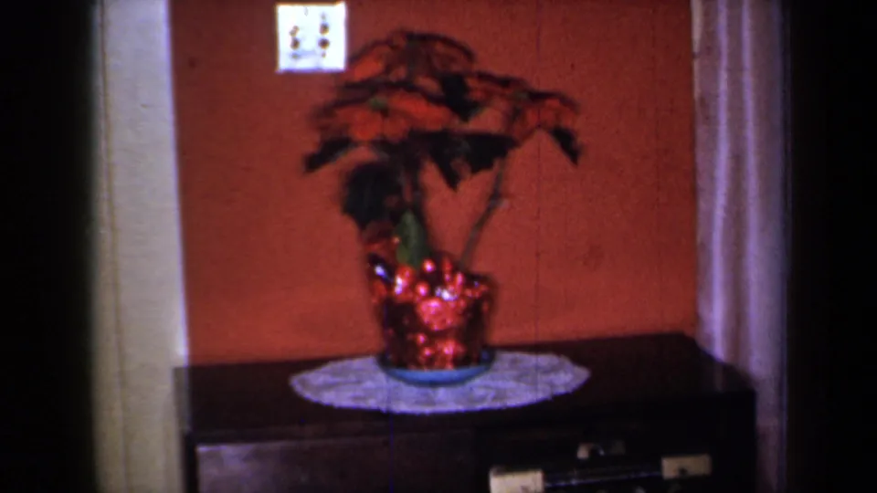 1959 New York home-movie frame of a red poinsettia in a shiny planter on a white doily, with a light switch above and dark table below.