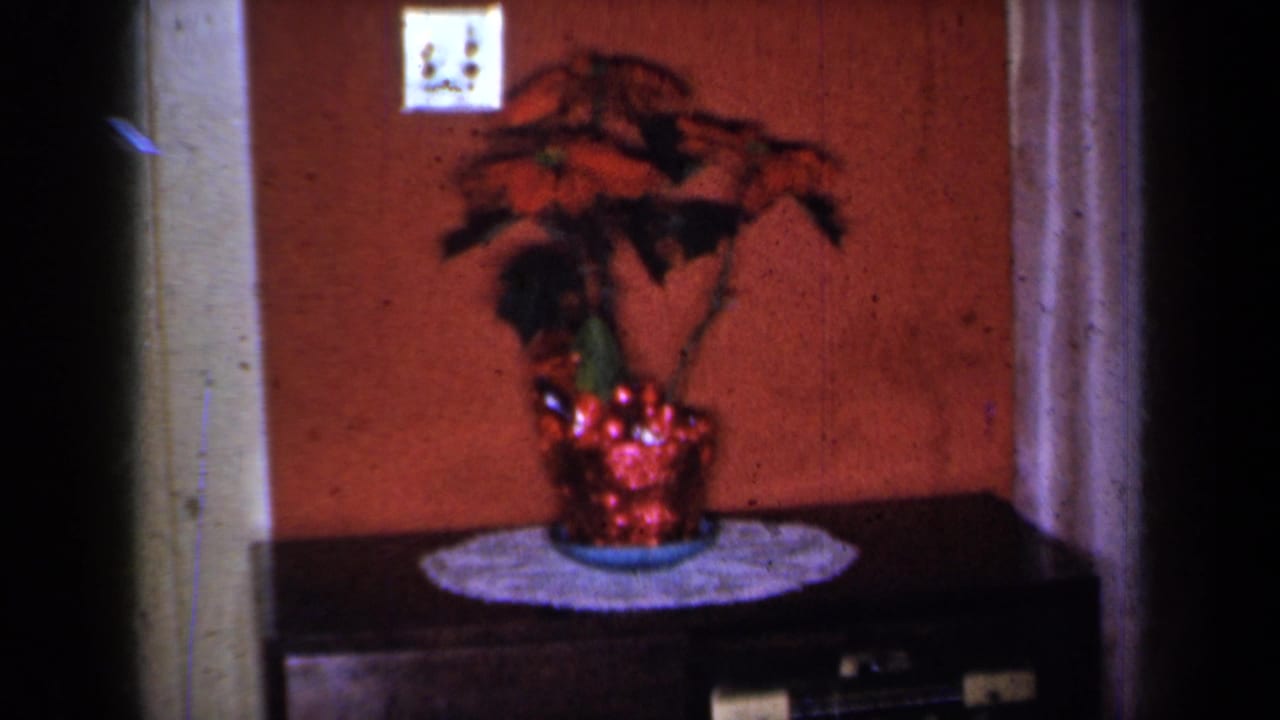 1959 New York home interior showing a poinsettia in a red planter on a doily, framed by wall trim and a light switch.