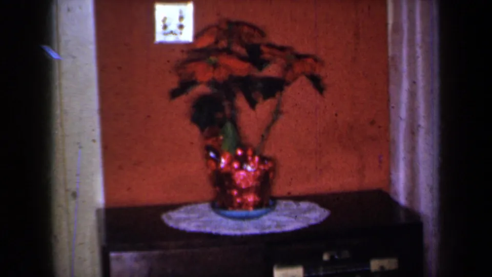 1959 New York home interior showing a poinsettia in a red planter on a doily, framed by wall trim and a light switch.