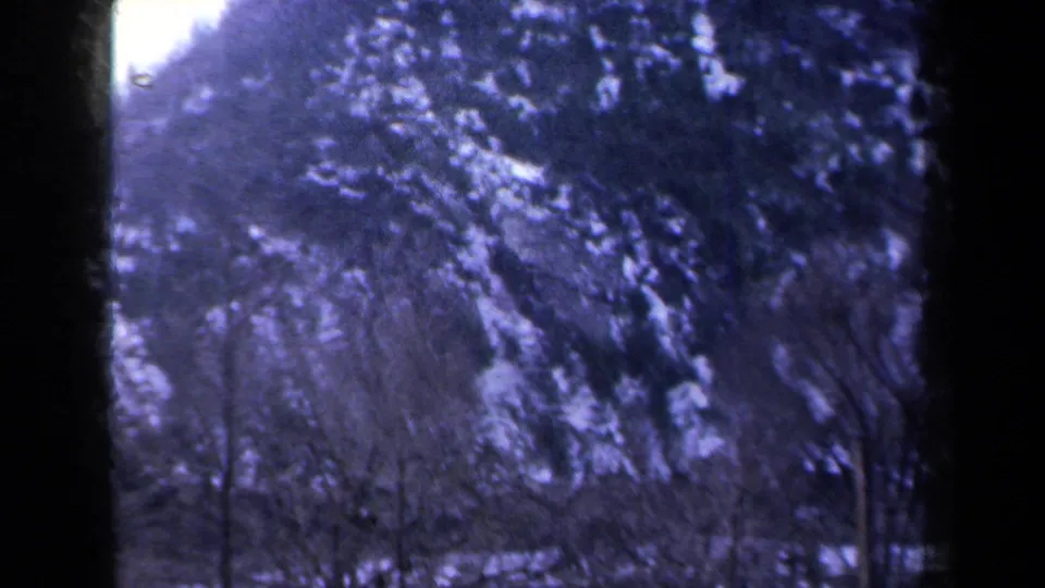 1959 New York 8mm travel frame with blurred wooded mountain terrain, scattered snow, bare branches, and dark gate edges.