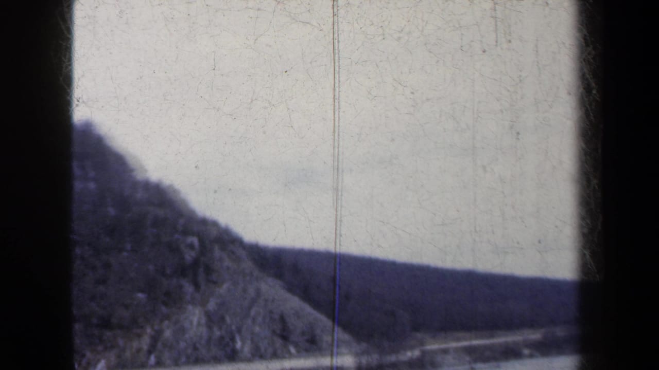 Steep wooded mountainside above a lakeside road and water.