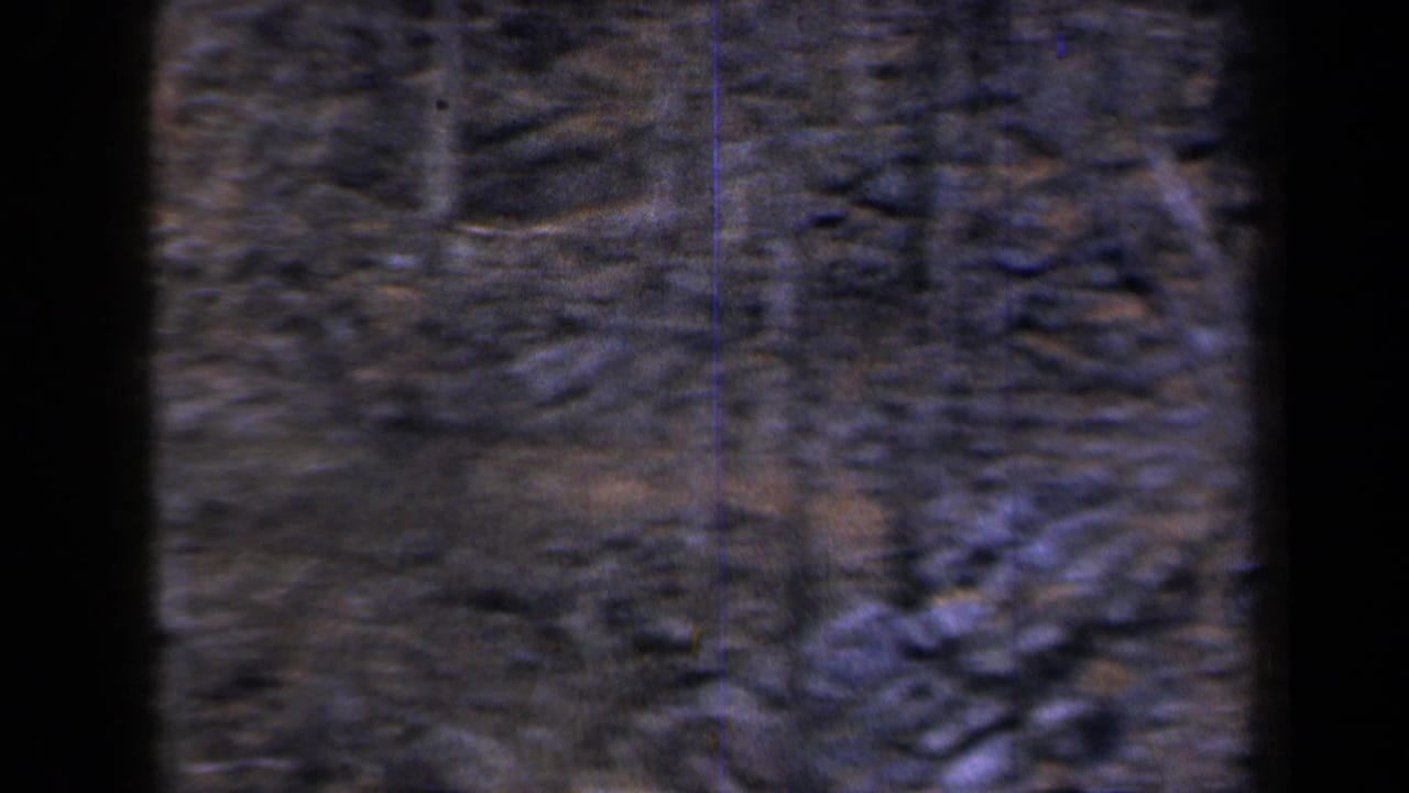 1959 New York 8mm frame showing a dark edge and a soft, close view of rough bark or a tree trunk texture.