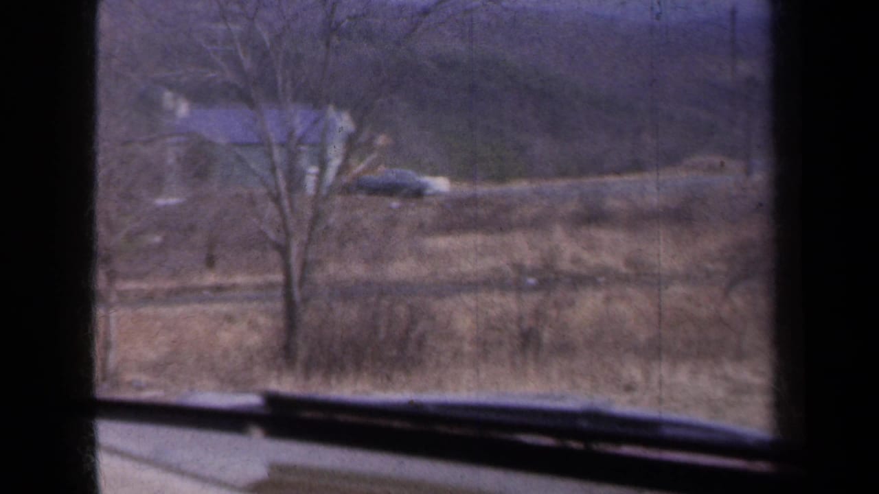 Bare tree and distant house beyond brown fields, framed by a car window.