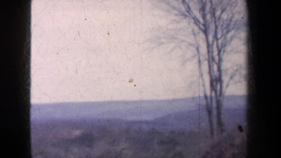 Soft 8mm view of a rural hillside in New York, with bare roadside trees and a hazy pale sky.