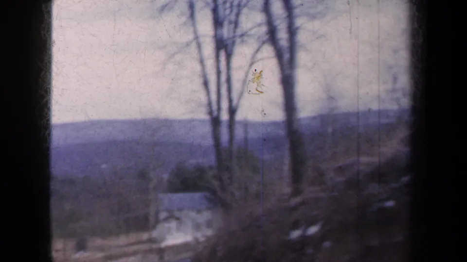 Rural New York road view with leafless trees, a small distant house, sloped ground, and hazy hills in the background.