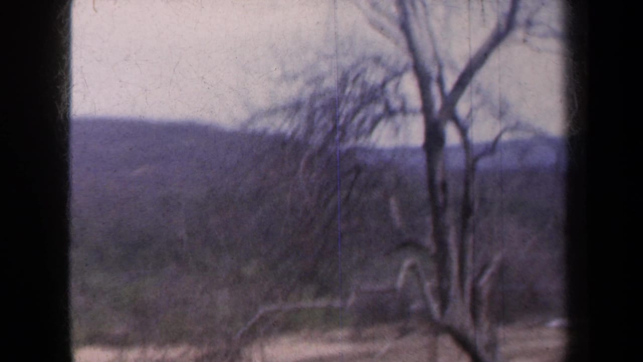 Rural New York hills and leafless trees appear in soft 1959 8mm home-movie footage.