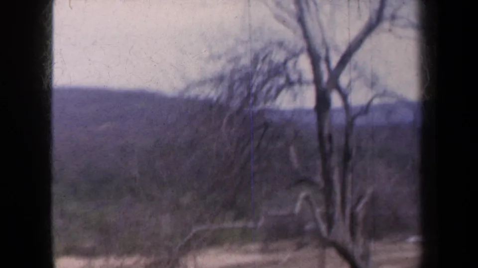 Rural New York hills and leafless trees appear in soft 1959 8mm home-movie footage.