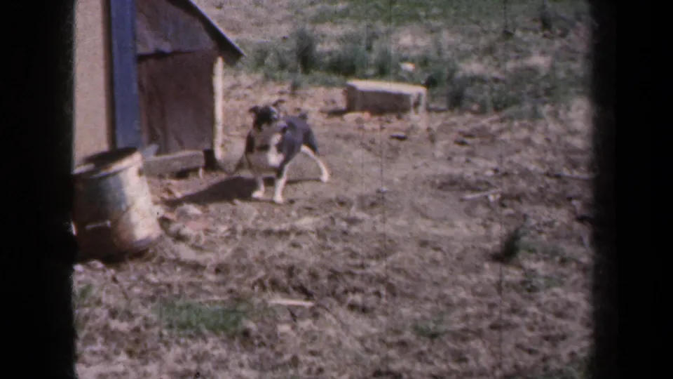 The dog remains near the wooden doghouse in the 1959 New York rural yard, framed by visible 8mm film edges.