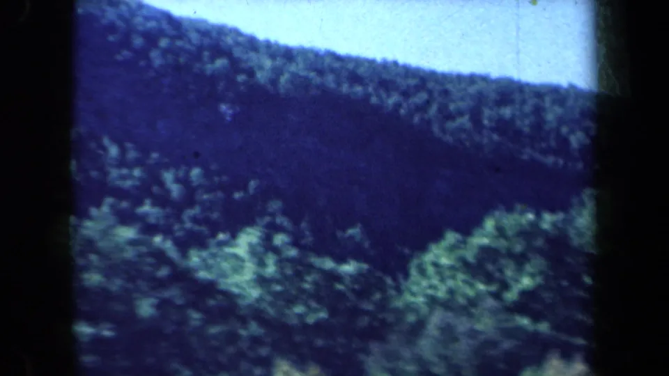A wooded hillside under bright sky appears after the doghouse scene, matching the rural New York 1959 home-movie context.