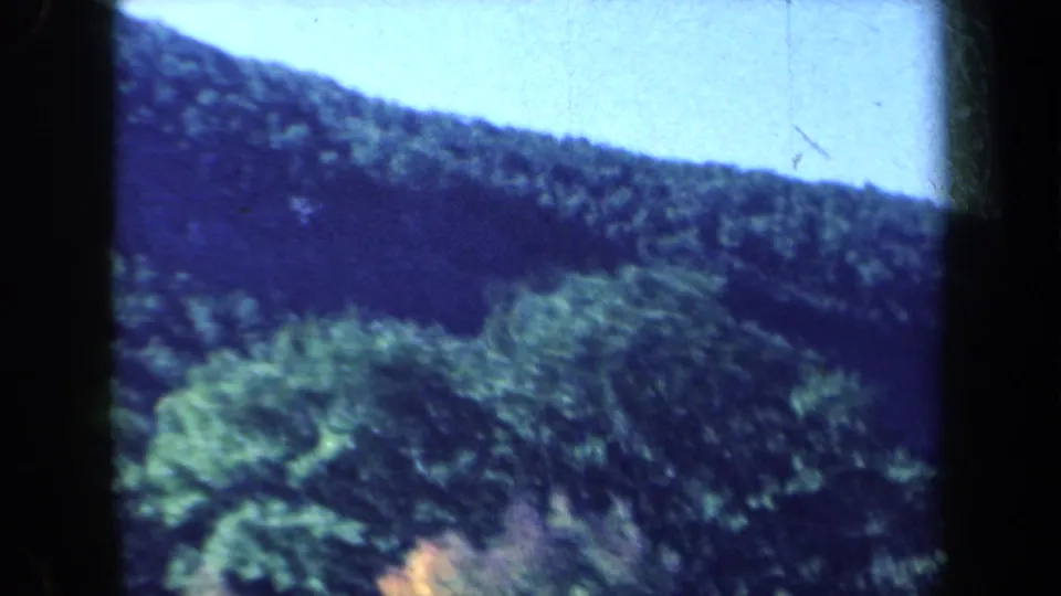 1959 New York 8mm frame showing a soft, blurred view of green wooded hills from a moving vehicle.