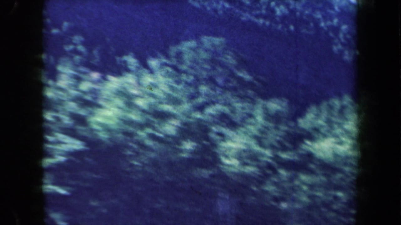 1959 New York road-trip footage shows blurred trees and a forested hillside from a passenger viewpoint.