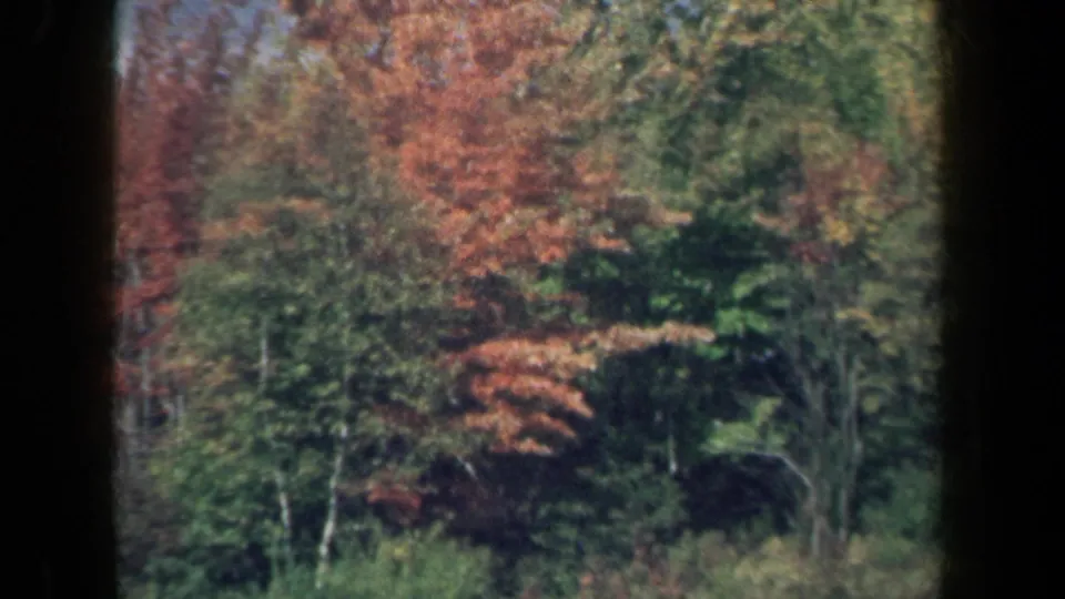 Wooded New York roadside foliage in a 1959 8mm home-movie frame, with red and green trees filling the view.