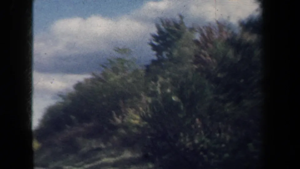 Close roadside view from a moving car in New York, with shrubs, tall trees, clouds, and dark 8mm frame borders.