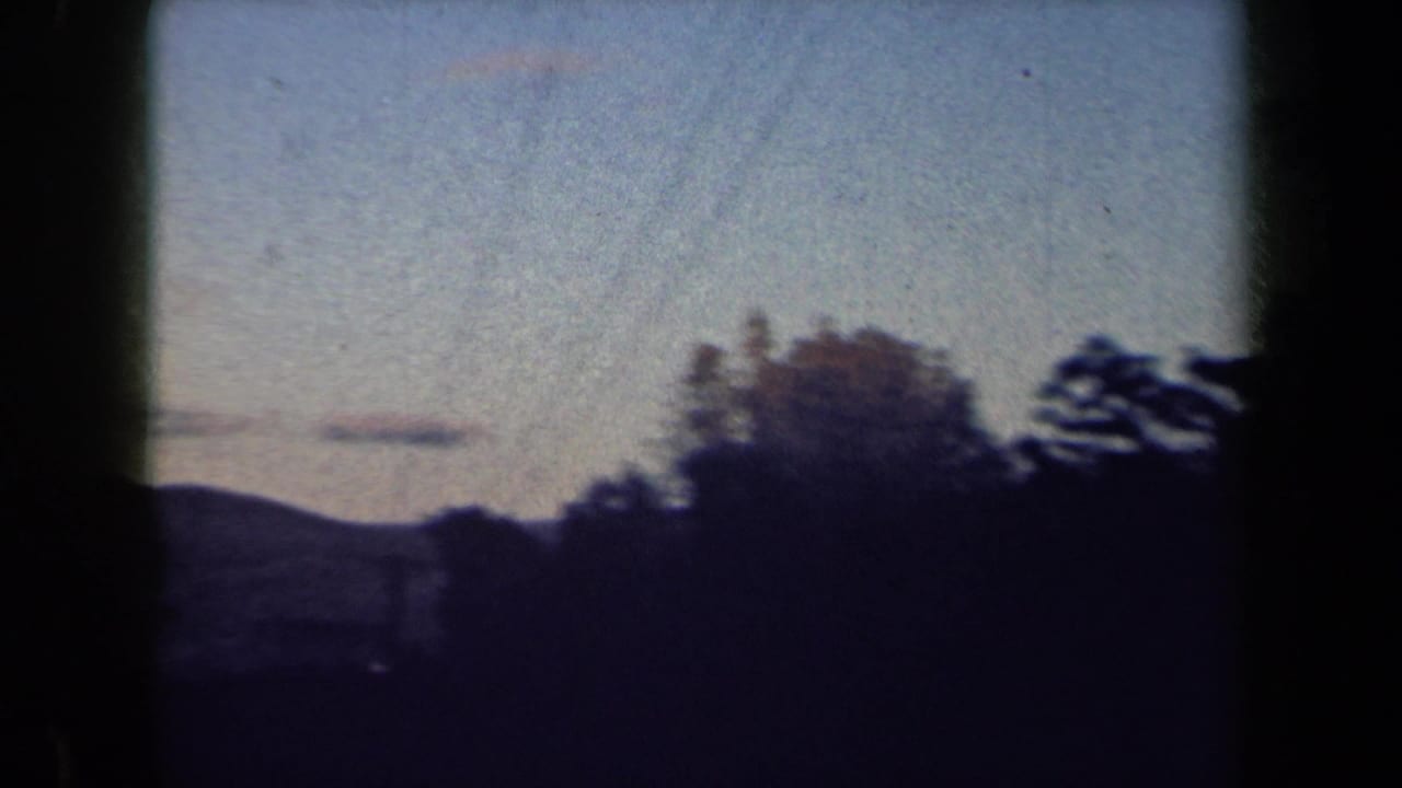 Dim sky and dark trees seen during a moving outdoor shot.
