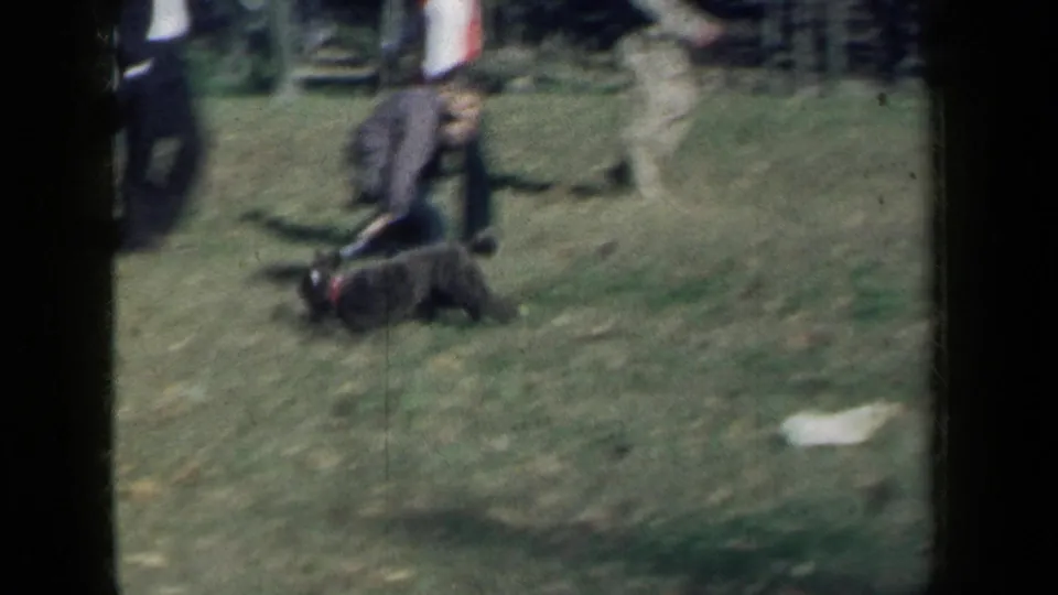 1959 New York park footage shows a small black poodle on the grass, with indistinct people walking behind it.
