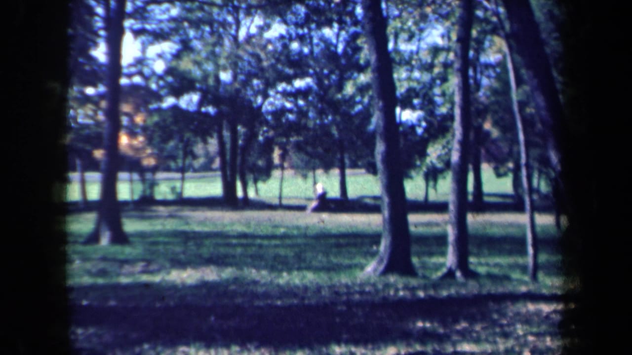 1959 New York 8mm frame showing a distant person on a bench across a grassy park framed by tree trunks.