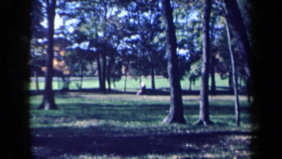 1959 New York 8mm frame showing a distant person on a bench across a grassy park framed by tree trunks.