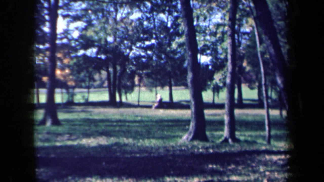 1959 New York park view on 8mm film, with a seated figure partly framed by tall trees and open grass.