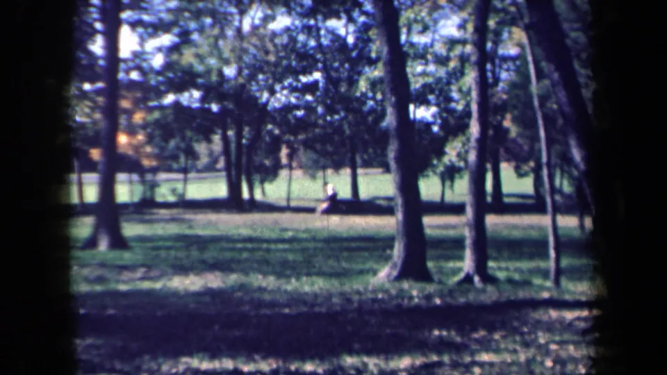 Final 1959 New York park frame with tall trees, green lawn, and a lone seated figure visible in the distance.