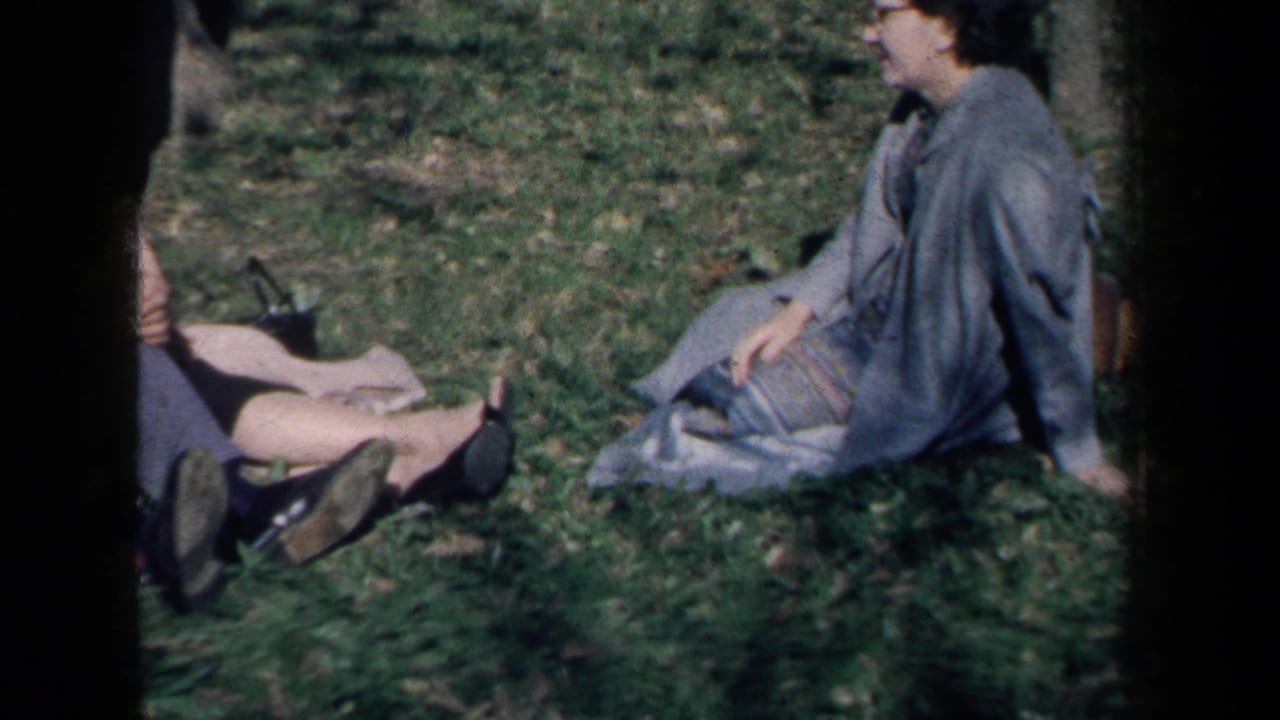 Adults sit on grass in daylight, including a woman in a gray dress near a blanket.