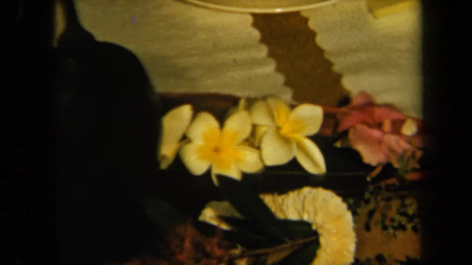 Warm 8mm frame of a California table arrangement with frangipani-like flowers, pink blossoms, and patterned cloth.
