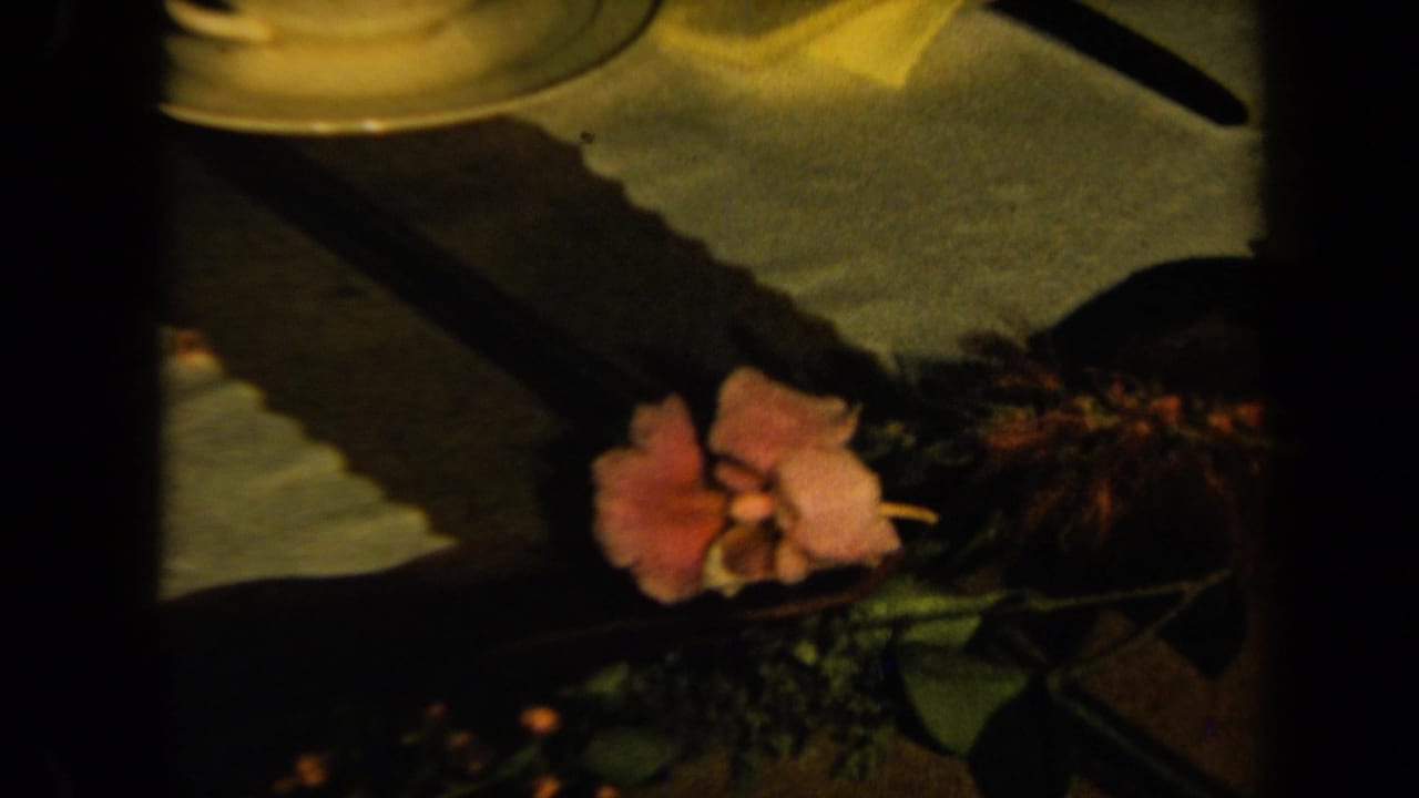 A pink flower with greenery rests near a cup, saucer, utensil, and napkin in warm 1961 home-movie lighting.