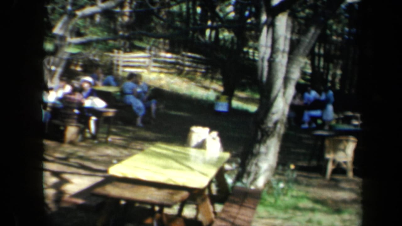 1969 California park scene with adults gathered at wooden picnic tables beneath trees and a rustic fence in the background.
