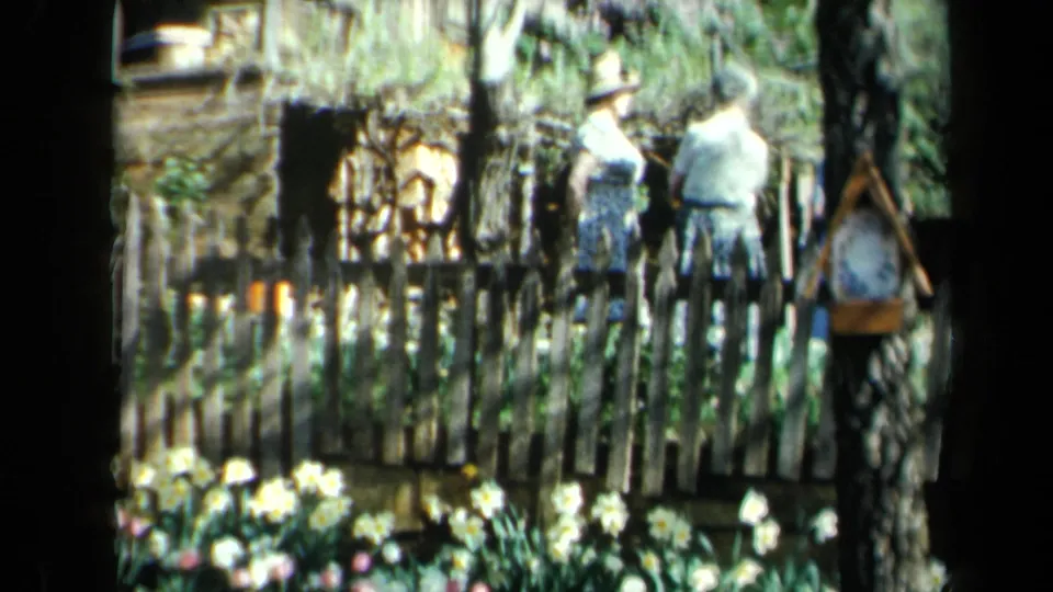 Two people stand or walk near a rustic fence behind blooming flowers in a wooded California park setting.