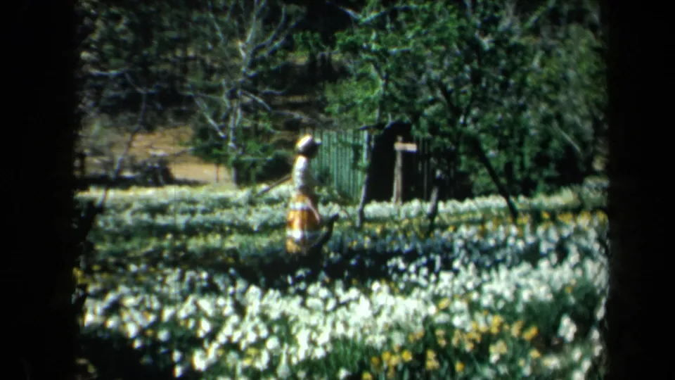 1969 California 8mm frame showing a woman in a light hat walking among flower beds and trees.