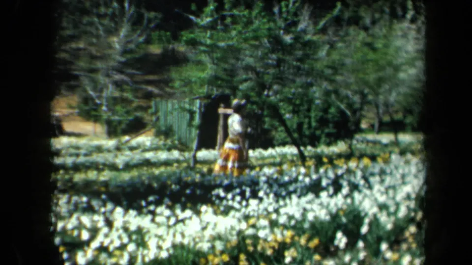 1969 California 8mm frame of a distant woman near a green garden structure and flowering beds.