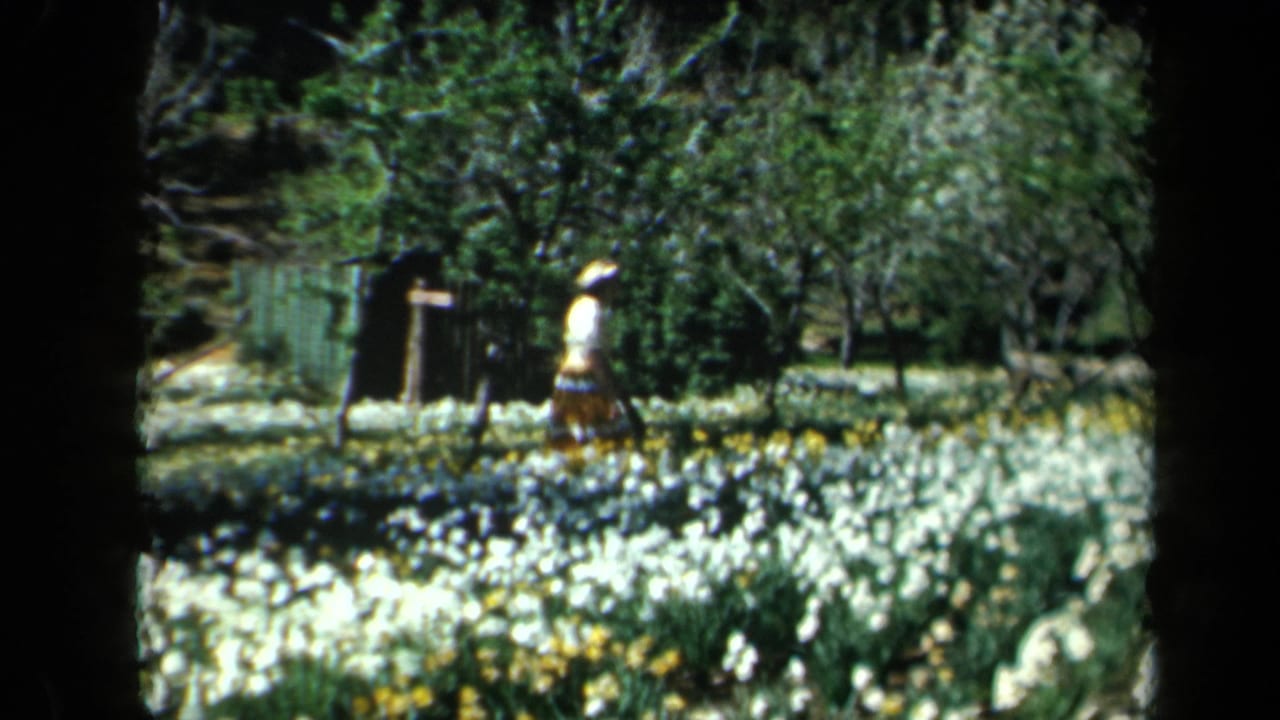 1969 California home-movie frame showing a woman in a light hat walking through a sunlit garden with dense white and yellow flower beds.
