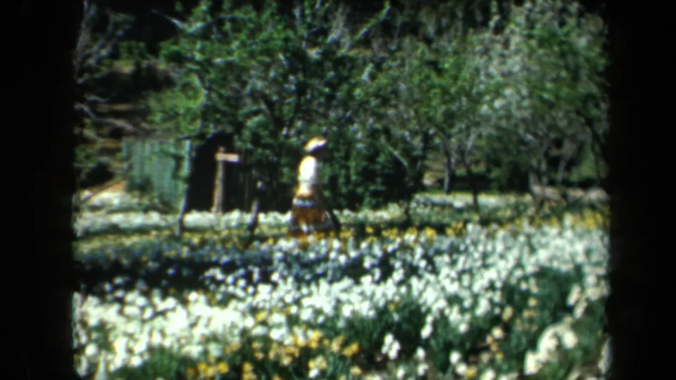 1969 California home-movie frame showing a woman in a light hat walking through a sunlit garden with dense white and yellow flower beds.