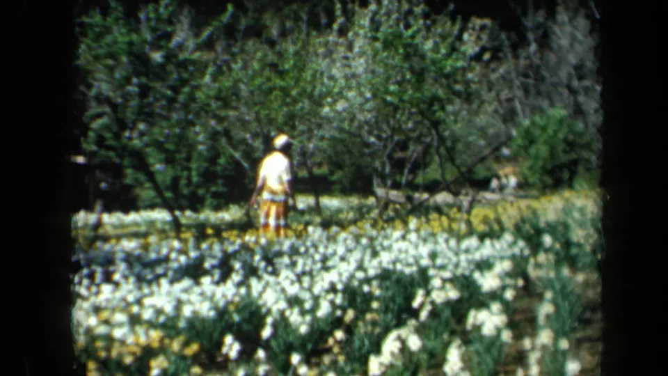 The woman appears farther across the garden, surrounded by white and yellow blooms with trees and shrubs in the background.