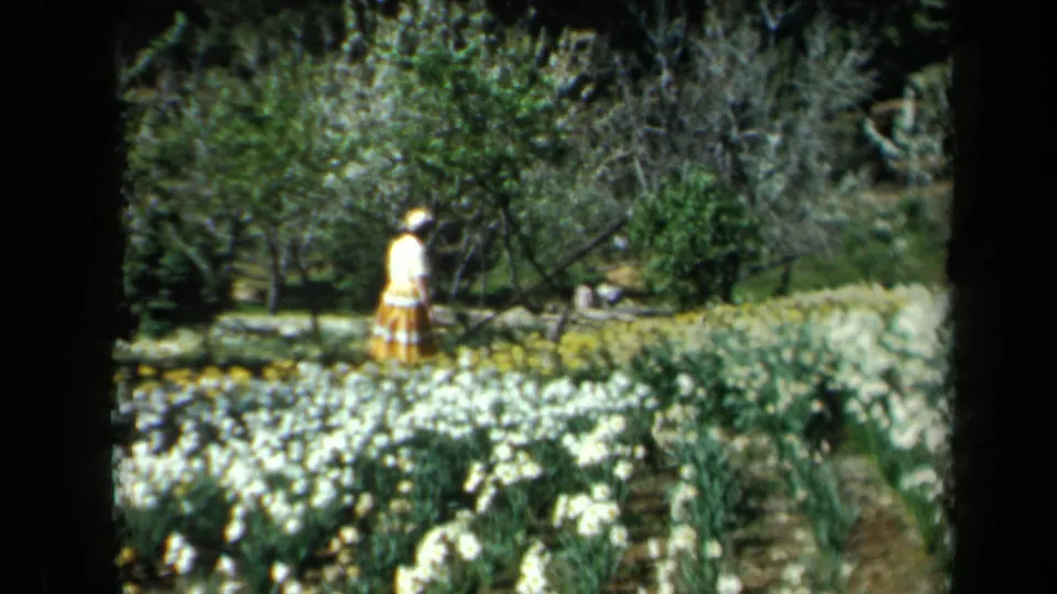 1969 California garden view with the woman in a light hat near dense pale flowers and a darker tree-lined background.