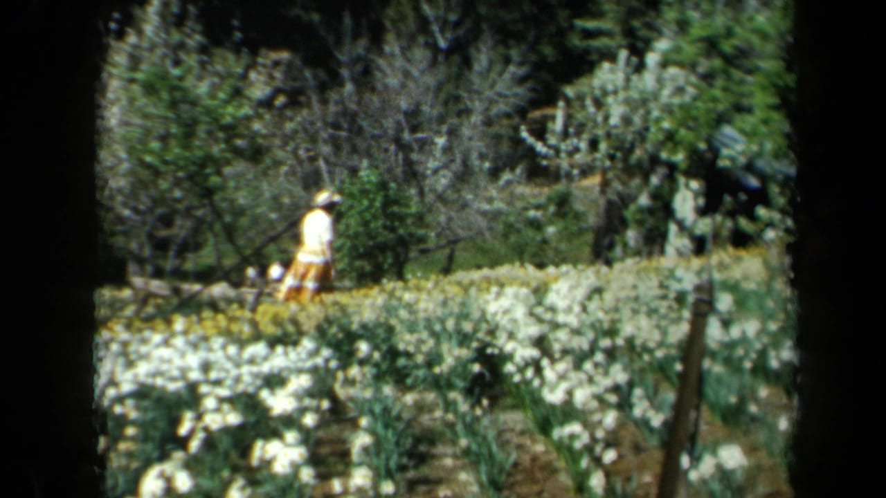 Woman in a light dress and hat walks beside white flowers and greenery.