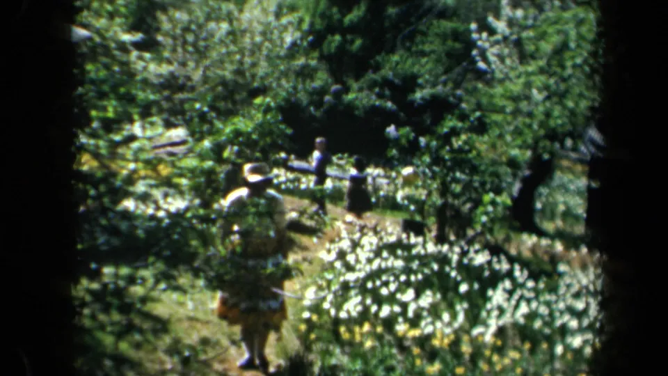 1969 California home-movie frame of people strolling through a flowered garden path with trees and shrubs around them.