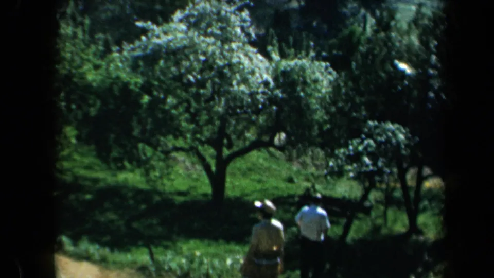 Two distant people in light clothing appear beneath flowering trees in a 1969 California garden scene.
