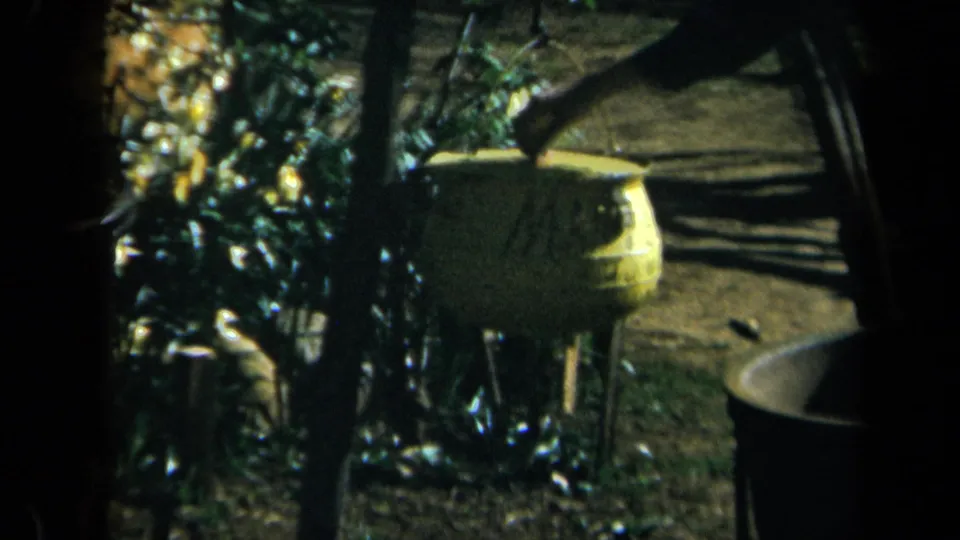 Shaded California garden or park detail with a yellow planter, tree trunks, path, and surrounding plants on 8mm film.