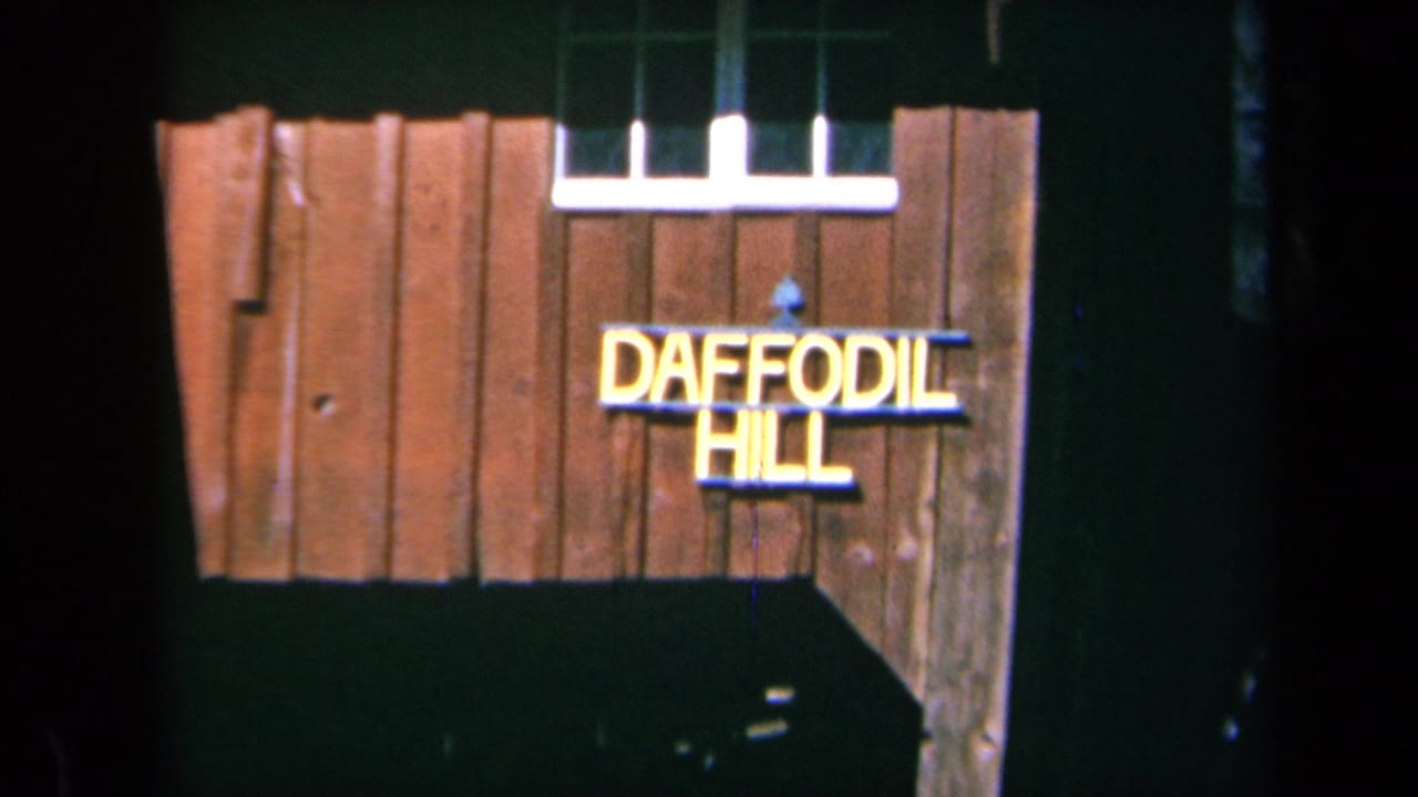 A 1969 California home-movie frame shows a wooden Daffodil Hill sign with yellow lettering beside a dark garden building.