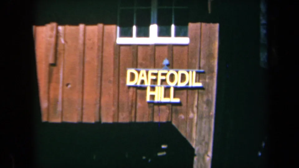 A 1969 California home-movie frame shows a wooden Daffodil Hill sign with yellow lettering beside a dark garden building.
