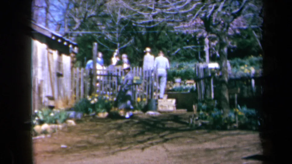 Visitors at Daffodil Hill in California stand near a rustic fence and garden path with yellow flowers and leafless trees.